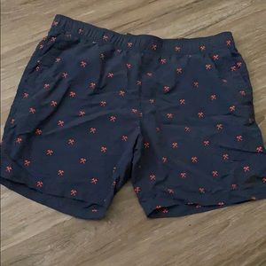 XL north face navy blue shorts